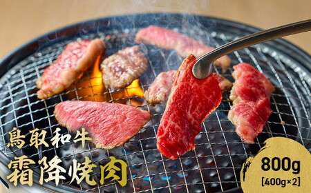 鳥取和牛 霜降焼肉 800g ( 400g × 2 ) 牛肉 和牛 鳥取和牛 ブランド和牛 焼肉 焼肉用 焼き肉 焼き肉用 和牛霜降り ロース バラ 黒毛和牛 KR1479