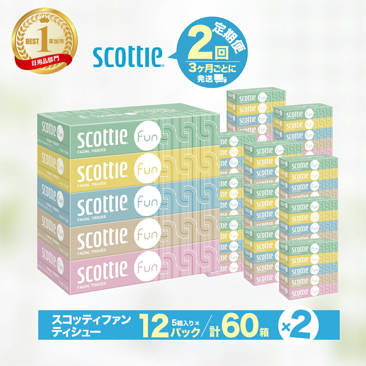 【ふるさと納税】ティッシュペーパー 定期便 3ヶ月×2回 スコッティ ティシュー ファン 150組5箱×12パック 60箱【入金確認後、最短10日～3週間程度に発送予定】 ｜ ティッシュ 60箱 雑貨 大人気 日本製 日用品 ティシュ 箱 日用品 必需品 大容量 リピート 埼玉県 草加市