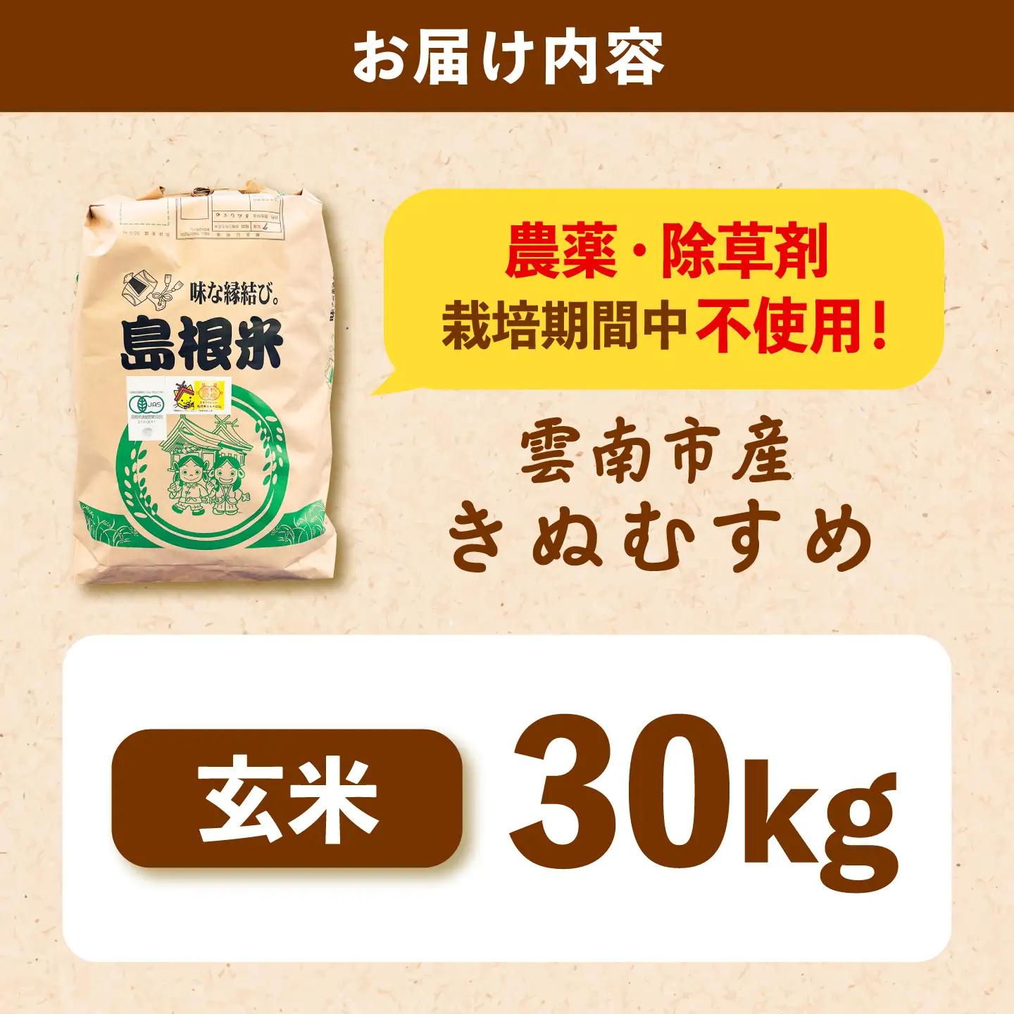 【有機JAS認定】令和7年産 玄米 雲南市産きぬむすめ 30kg（10kg×3袋） 島根県雲南市/佐藤ファーム ｜玄米 コメ 有機栽培 完全無農薬 美味しまね認証[AIEO008]