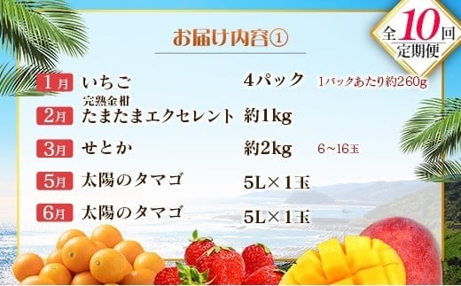 【10回定期便】旬 人気 フルーツ 南国宮崎産 太陽のタマゴ 金柑たまたまエクセレント シャインマスカット ピオーネ いちご みかん 梨 メロン 柑橘 マンゴー きんかん たまたま ぶどう 果物 詰め