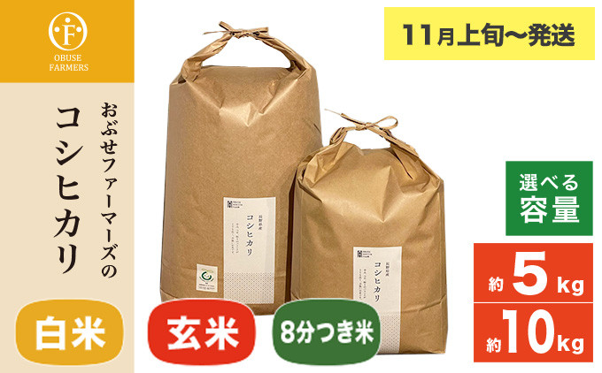 
            コシヒカリ 白米 玄米 8分つき米  約5kg  約10kg 選べる 精米方法 内容量 ［ おぶせファーマーズ ］ お米 コメ おこめ ご飯 精米 長野県産【2025年11月上旬～発送】 
          
