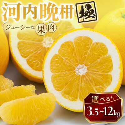 【ふるさと納税】【太陽をたっぷり浴びた】河内晩柑【極】 3.5kg / 6kg / 12kg _ 河内晩柑 晩柑 かわちばんかん みかん ミカン 蜜柑 愛媛県 国産 和製グレープフルーツ 果物 くだもの フルーツ デザート かんきつ 柑橘 柑橘類 産直 産地直送 八幡浜市 送料無料 【G1509764】