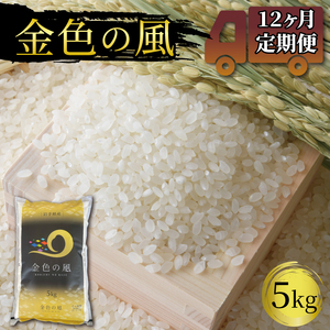 12ヶ月 定期便 米 5kg 金色の風 白米 お米 1等米 精米 ご飯 朝食 昼食 夕食 国産 岩手県 大船渡市