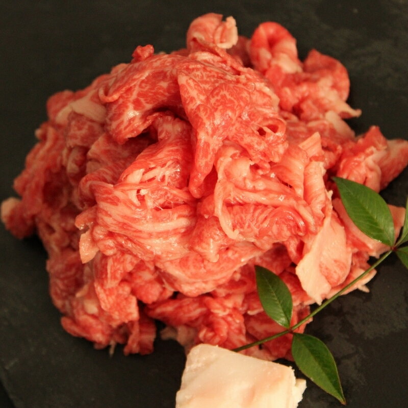 【ふるさと納税】 牛肉 小間切れ 600g ( 300g × 2パック )【koma0025】