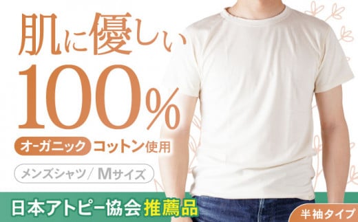 【日本アトピー協会推薦品】オーガニックコットンTシャツ（メンズ / Mサイズ） / Tシャツ メンズ 綿 オーガニック 服 肌着 生成り 半袖 / 諫早市 /  株式会社美泉  [AHAP014]