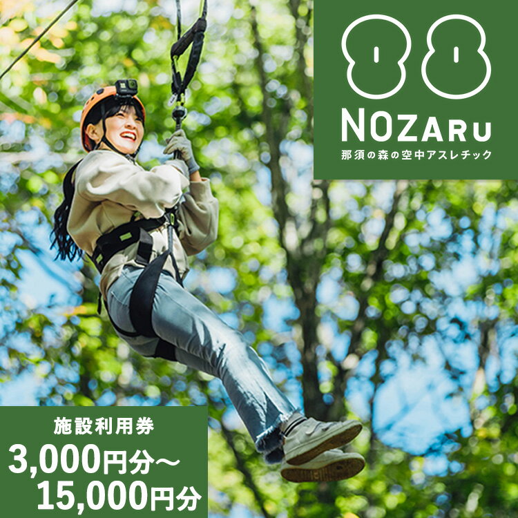 【ふるさと納税】NOZARU KOZARU キツネノボリ 施設利用券 ｜体験 アスレチック アクティビティ 遊び 観光 旅行 子供 チケット 那須 栃木県 那須町