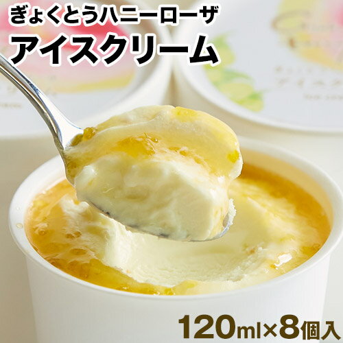 【ふるさと納税】糖度17度の甘さ♪ハニーローザアイスクリーム 120ml×8個 熊本県玉名郡玉東町 すもも ハニーローザ アイス ぷらっとぎょくとう《60日以内に出荷予定(土日祝除く)》
