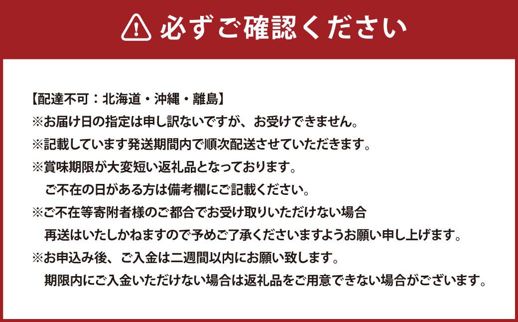 岡山県産 ぶどう詰合 ニューピオーネ 1房・シャインマスカット 晴王 1房 （各480g以上） 化粧箱入り 