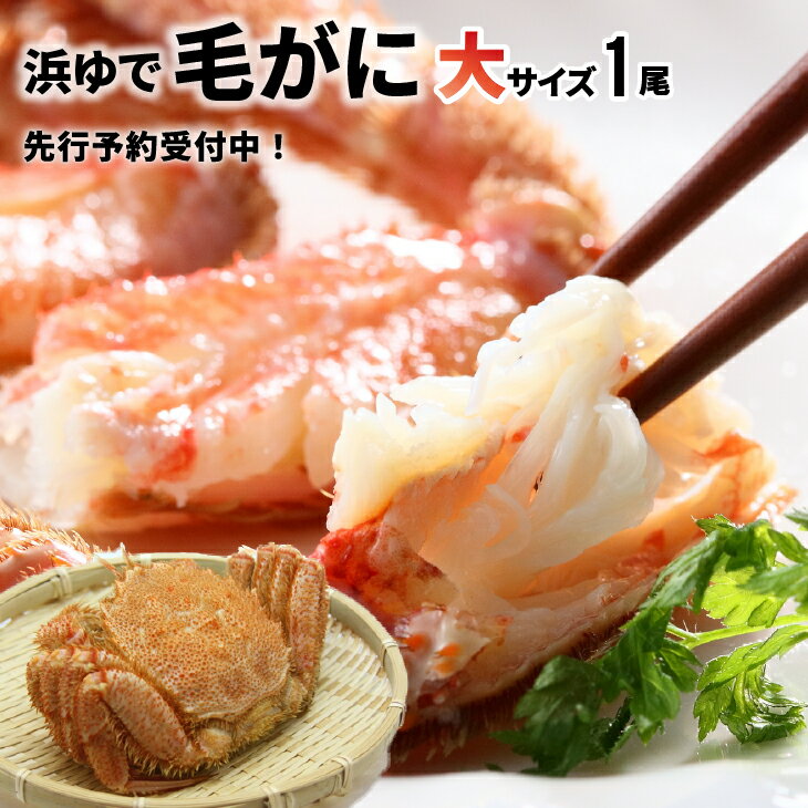 【ふるさと納税】【先行受付開始！】漁協の浜ゆで毛がに 大サイズ1尾※日付指定対応不可※[02-346]※離島・沖縄県不可※ 北海道 浦河 ふるさと納税 北海道産 北海道日高産 漁協 直送 茹でたて 浜ゆで毛がに 毛がに 毛蟹 大サイズ 1尾 送料無料
