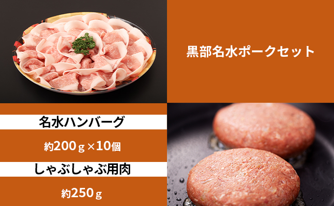 
[№5313-0334]黒部名水ハンバーグ10個・しゃぶしゃぶ用肉（約250g）/ふるさと納税/富山県黒部市
