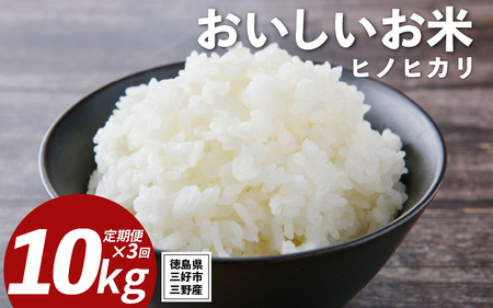 米 令和7年産 新米 定期便 10kg ×3回 ヒノヒカリ こめ ご飯 ごはん 【 お米 】