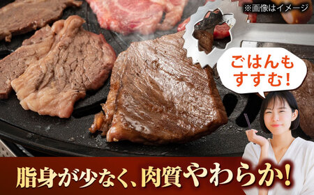 【訳あり】 博多和牛 ヒレ 焼肉用 600g 吉富町/久田精肉店株式会社[BGAM012]