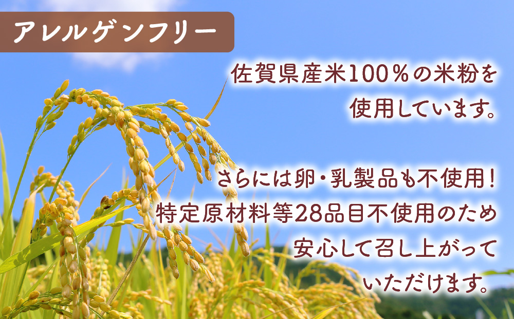 グルテンフリースイーツ専門店が作る完全グルテンフリーの米粉パン【小麦粉・乳・卵不使用】(H053287)