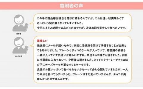 【定期便４回コース】とろける生チーズケーキ（プレーン・チョコ）+メロンパン【スイーツ ケーキ チーズケーキ プレーン チョコ 洋菓子 おまけつき 全4回】[G2702]