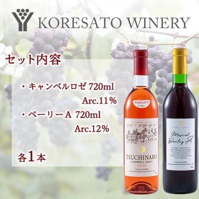 ふるさと納税 赤磐市 是里 ワイン 果実酒 キャンベルロゼ ベーリーA 720ml 各1本[NO5765-1256] |  | 01