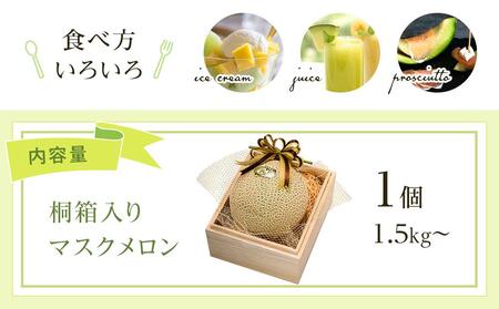 高知県南国市産／厳選桐箱入りマスクメロン（1個）【メロン フルーツメロン くだもの メロン デザート メロン 高評価 メロン 厳選 メロン 高級 メロン ギフト メロン 贈り物 メロン  人気 おすす