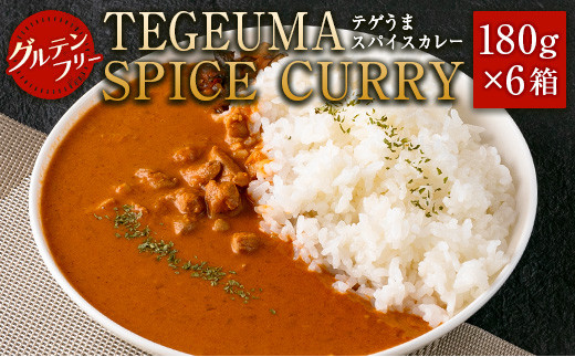 
グルテンフリー 無水チキンカレー TEGEUMA SPICE CURRY（テゲうまスパイスカレー）180g×6箱【B595】
