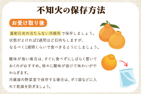 森田果樹園の不知火 3kg《2月中旬-4月下旬頃出荷》森田果樹園 果物 フルーツ 柑橘 熊本