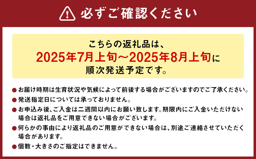 大玉 メロン 青肉 赤肉 各1玉 詰合せセット （1玉 1.7kg以上） 