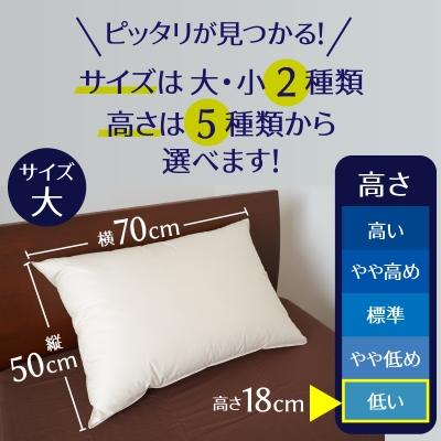 ふるさと納税 碧南市 【高さが選べる】天使の羽毛枕 ダウンピローハイクラス(50×70cm) / 低い H115-057 |  | 01