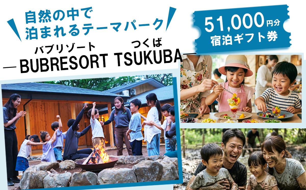 【ふるさとeチケット】 BUB RESORT Tsukuba 利用クーポン券 ( 51000円分 ）【 茨城県 つくば市 関東 グランピング 宿泊券 宿泊チケット 宿泊補助券 宿泊利用券 キャンプ リゾート 大自然 体験 体験型 アクティビティ 宿泊 家族 子供 子連れ ファミリー 食事 フレンチ ニューオープン バブリゾート BUB BUBRESORT サウナ  夏休み 】