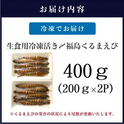 ふるさと納税 松浦市 生食用 瞬間冷凍活き〆福島くるまえび(200g×2P) |  | 03