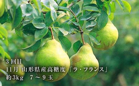 令和7年8月発送開始 山形県至高のフルーツ！山形県至上のフルーツ定期便 全3回 F4A-0456