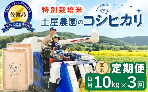 【令和8年産新米 3ヶ月】佐渡島産コシヒカリ 玄米 10kg 特別栽培米