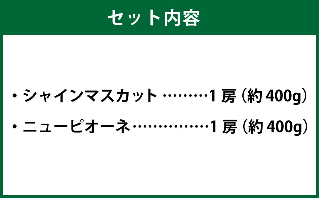 岡山県産 シャインマスカット「晴王」とニューピオーネ Lサイズ 計約800g