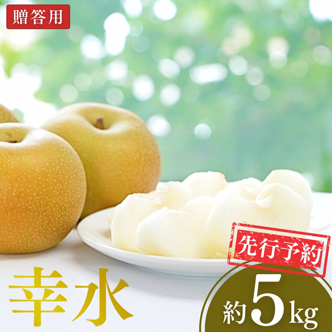 【ふるさと納税】先行予約 和梨 幸水 約5kg 令和8年度 新潟県 三条市産 梨 冷蔵 [小林農園]【012P044】