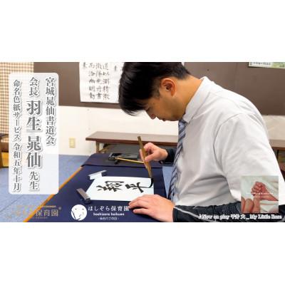 ふるさと納税 登米市 きらり保育園・ほしぞら保育園仙台六丁の目で大好評【命名色紙】直筆 |  | 02