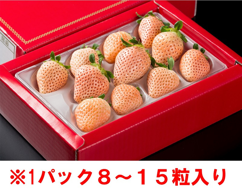 
            岸川農園のいちご「淡雪」220g×1P【化粧箱入り】
          