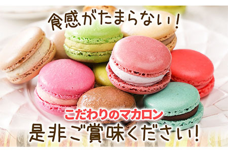 マカロン アソートタイプ 12個入り 欧風ケーキ工房 かねもり 《45日以内に出荷予定(土日祝除く)》｜本別マカロン　北海道マカロン　こだわりマカロン　マカロン　マカロン