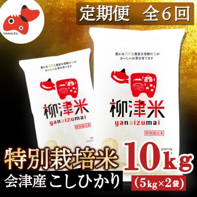 ふるさと納税 柳津町 【発送月固定定期便】令和7年11月下旬より発送開始/柳津産のおいしい特別栽培こしひかり全6回