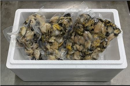 【北海道根室産】灯台つぶ300g×3P(計900g) A-01028【12月13日決済分まで年内配送】