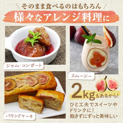 ふるさと納税 宗像市 プレミアムいちじく「とよみつひめ」冷凍いちじく 大容量2kg【JAほたるの里】_HA0279 |  | 03