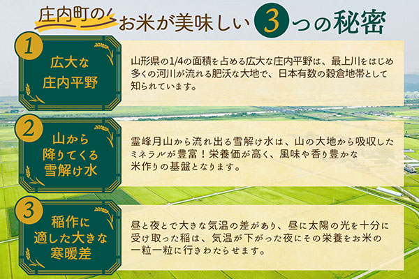 石垣農園の特別栽培米 つや姫 10kg 令和7年産 2025年産 ブランド米 山形県コシヒカリの原点、亀の尾発祥の地 庄内 つや姫 10kg（5kg×2袋）