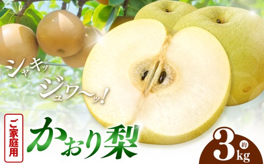 【先行予約】【ご家庭用】西江豊水園のかおり梨 3kg 数量限定 | 旬の甘い完熟梨 梨 なし 新鮮 産地直送 果物 くだもの フルーツ 大分県産 九州産 大分県 中津市