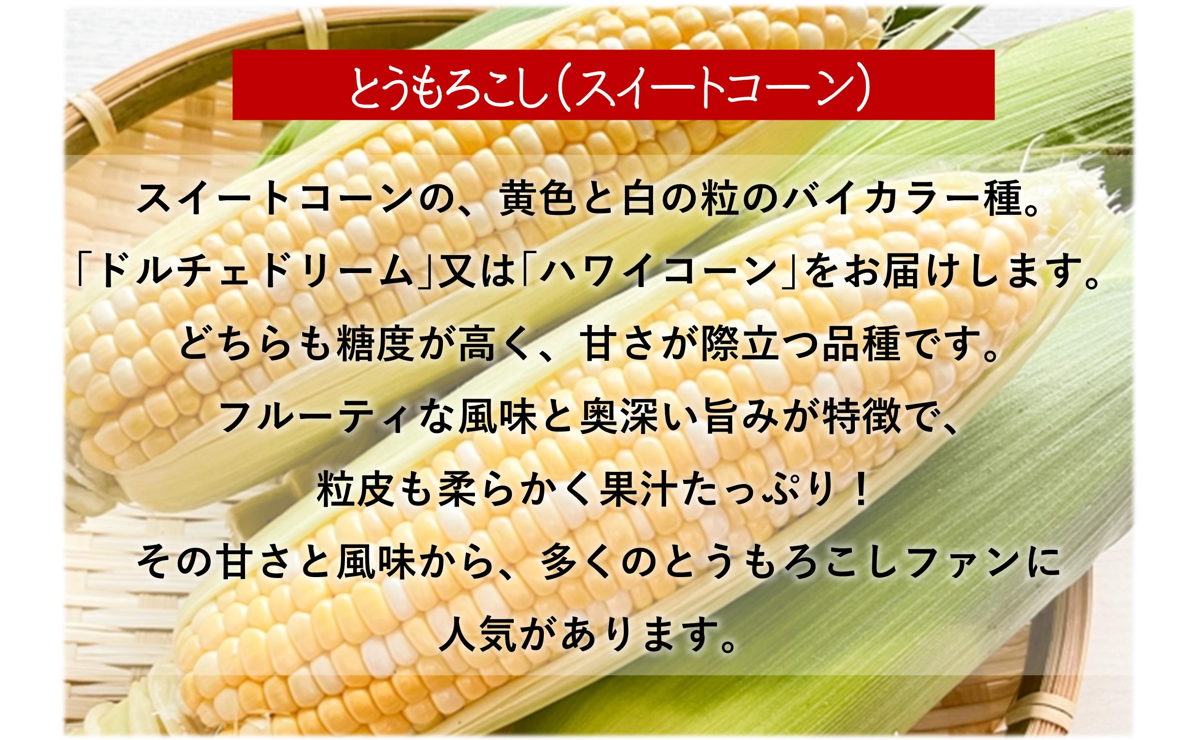 【先行予約】【定期便2回】赤肉メロン2玉＋スイートコーン約5kg(13本) 旬のフルーツ・野菜定期便<7月下旬・8月上旬お届け> SBTN012