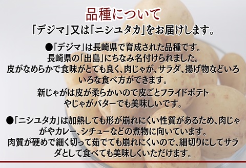 訳あり！農家直送のじゃがいも 10kg【B0-154】 訳あり じゃが じゃがいも いも 肉じゃが サラダ フライドポテト 揚げ物 カレー シチュー 煮物