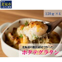 【ふるさと納税】北海道の贅沢素材で作った手作りホタテゴロゴログラタン ( 食品 加工品 惣菜 手作り グラタン ホタテ 帆立 ほたて 贅沢 北海道 )