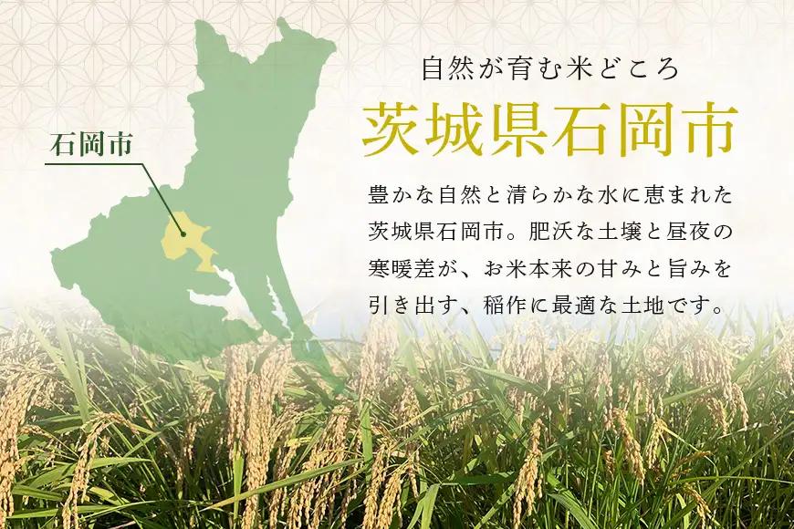 【令和8年産】獅子米　あきたこまち（玄米）30kg　B02-095