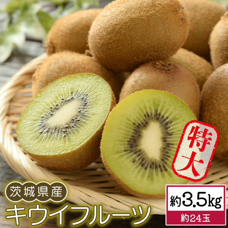 【ふるさと納税】 茨城県産 キウイ フルーツ 特大 約 3.5kg 大玉 旬 甘い