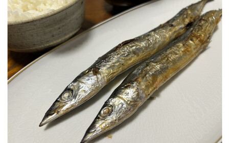 干物 さんま丸干し 10本 干物【uosk0015A】