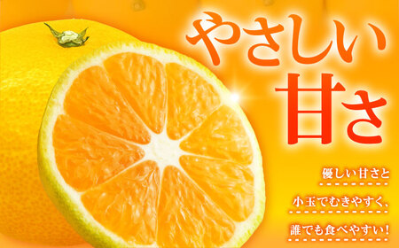 早生みかん 3kg 小玉 わせみかん わせ 江田島産 広島 みかん ミカン 柑橘 柑橘類 果物 くだもの フルーツ 家庭用 濃厚 デザート 旬 特産品 温州みかん 国産 江田島市/ハルテラス農園[XC