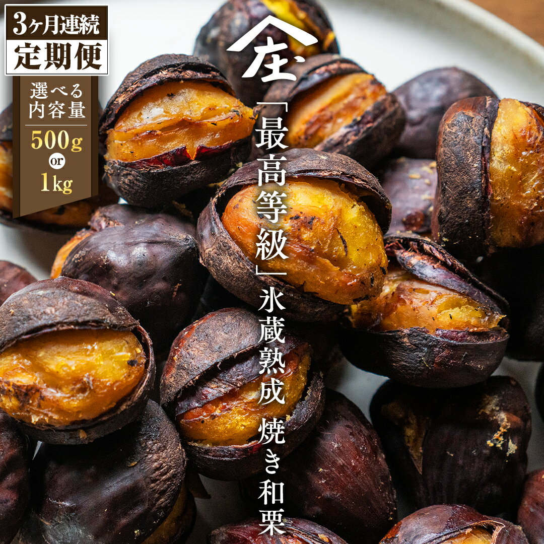 【ふるさと納税】 【 定期便 3ヶ月 】 庄七農園 厳選『 最高等級 』氷蔵熟成 焼き和栗 500g 1kg 選べる内容量 【2025年10月より発送開始】 茨城 お取り寄せ 茨城県産 栗 くり 焼栗 おやつ スイーツ 茨城 和栗 美味しい 果物 フルーツ 庄七農園
