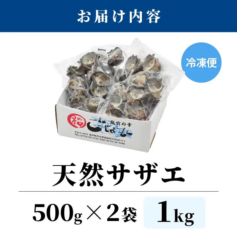 越前町産 天然 サザエ 1kg （500g×2袋）【サザエ 海鮮】 [e15-a065]
