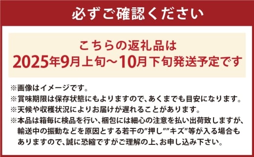 シャインマスカット 晴王 1房 約700g