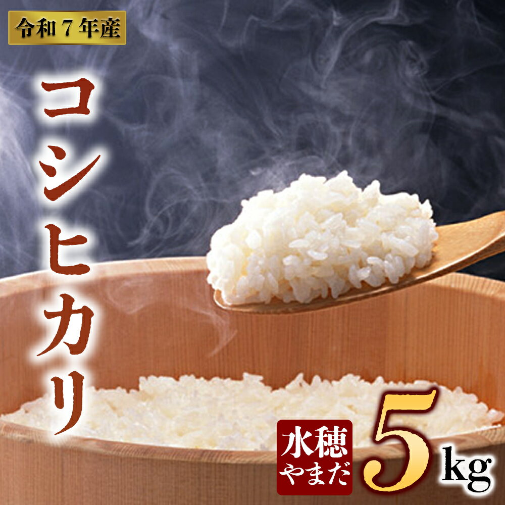 【ふるさと納税】令和7年産　コシヒカリ 5kg　水穂やまだ　 白米 こめ おこめ 阿蘇米 米 お米 美味しい 寒暖差 湧き水 お取り寄せ 食卓 豪華 贅沢 自然 湧水 熊本県 阿蘇市