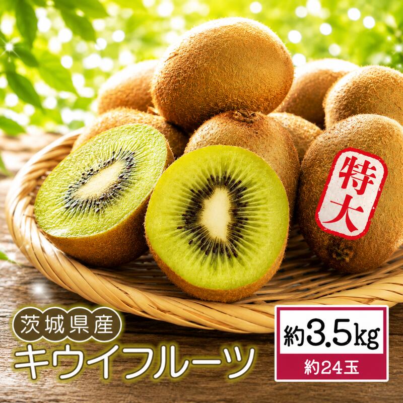 【ふるさと納税】 キウイフルーツ 約 3.5kg 特大 | キウイ きうい 大玉 果物 くだもの 甘い フルーツ 旬のフルーツ デザート スイーツ fruit 果実 果肉 2026年産 産地直送 数量限定 茨城県産 関東 茨城 筑西